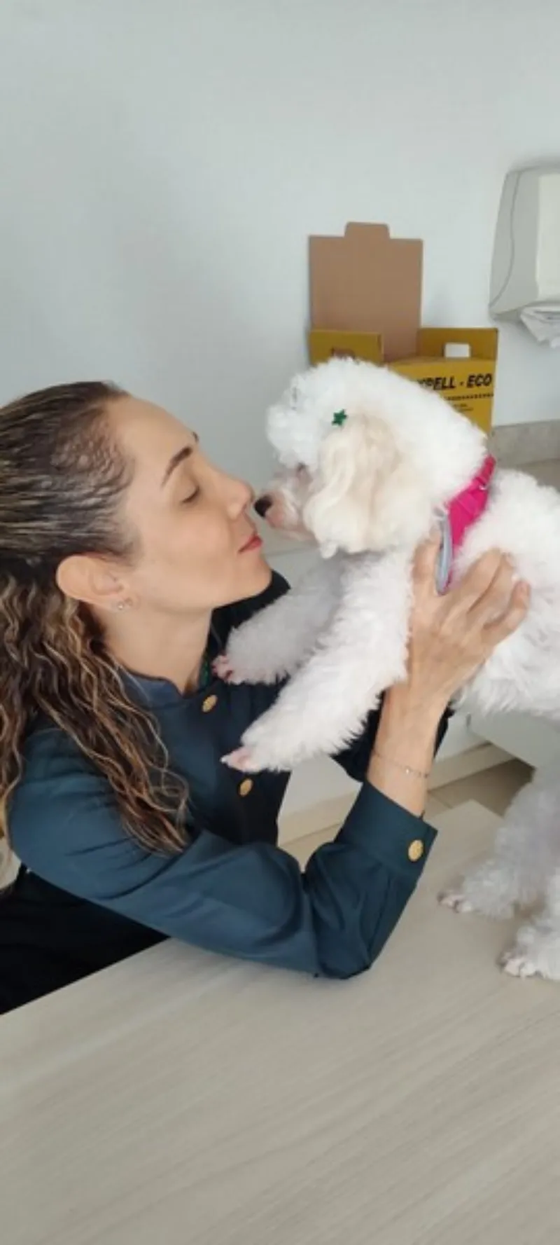 Emergência pet 24 horas em Trindade