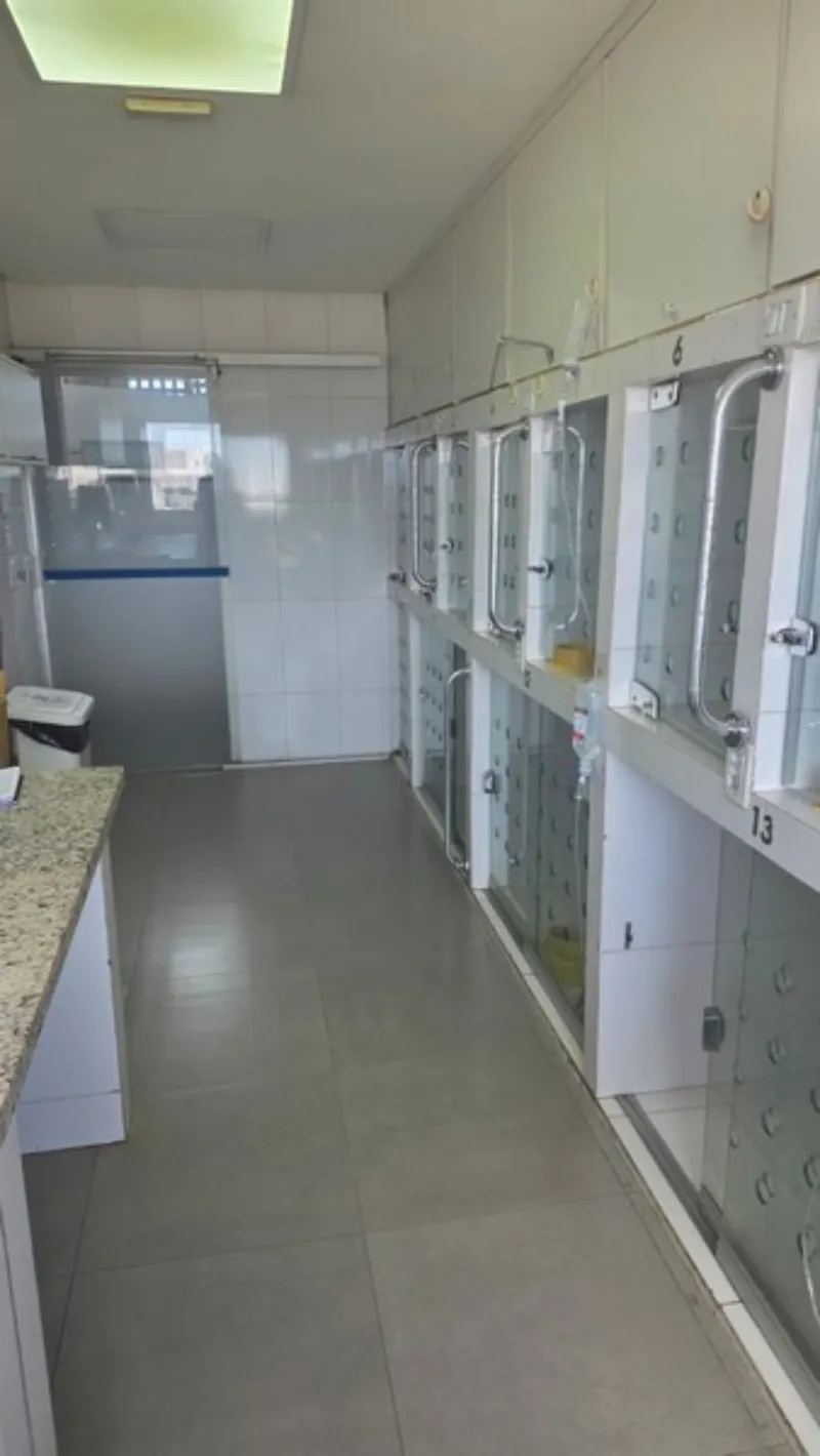 Endoscopia digestiva veterinária