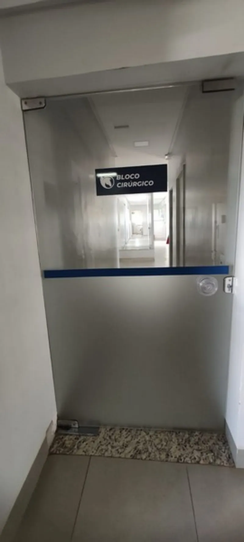 Pet shop para banho e tosa em Goiânia