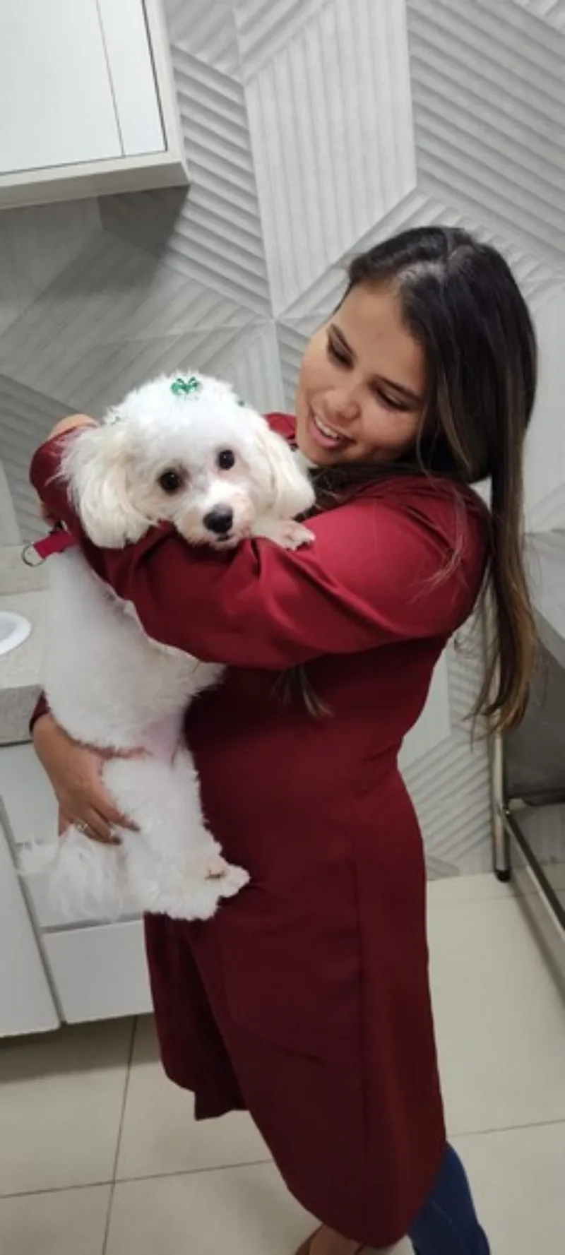 Pet shop para banho e tosa em Trindade