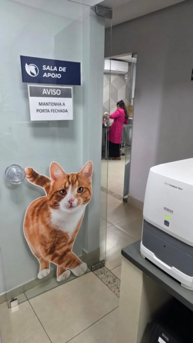 Pet shop em Trindade