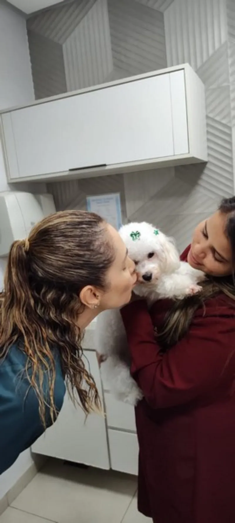 Pet shop veterinária