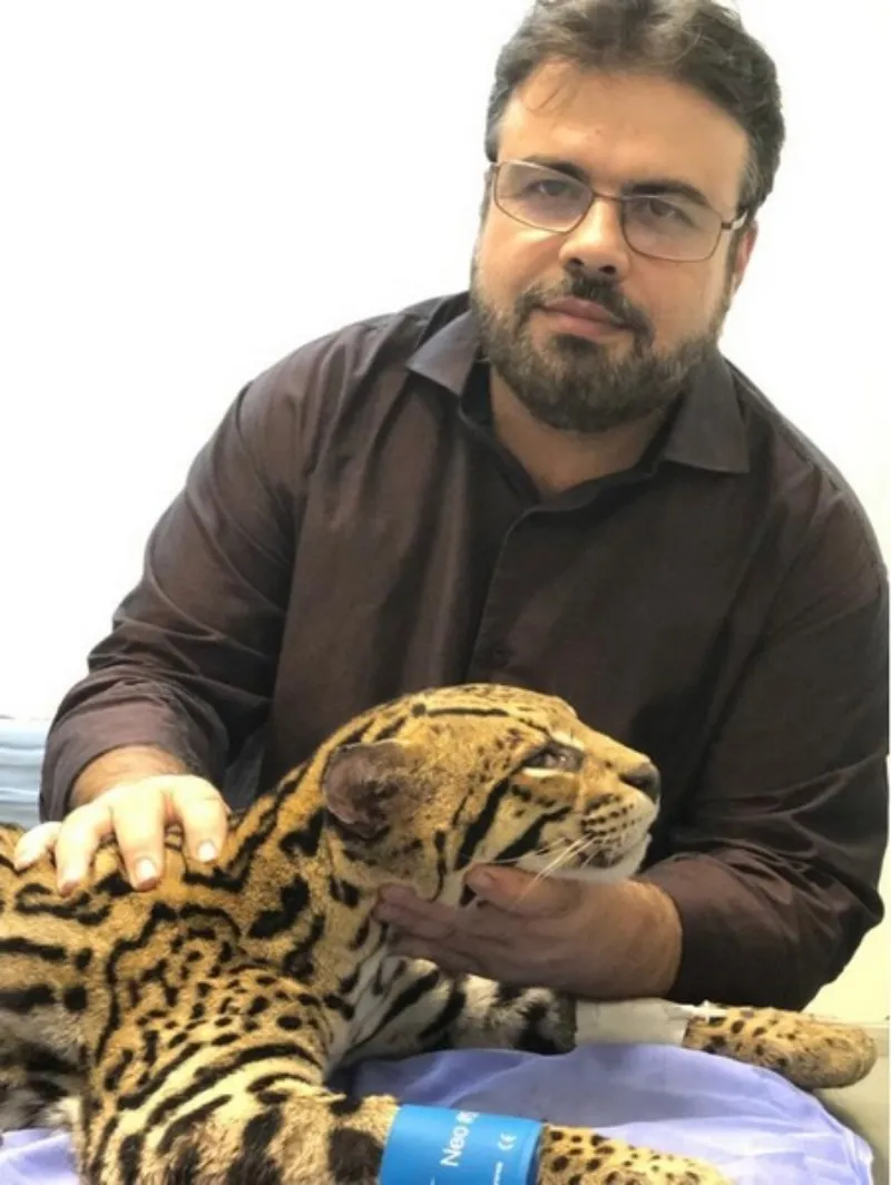 Vacinação em animais exóticos