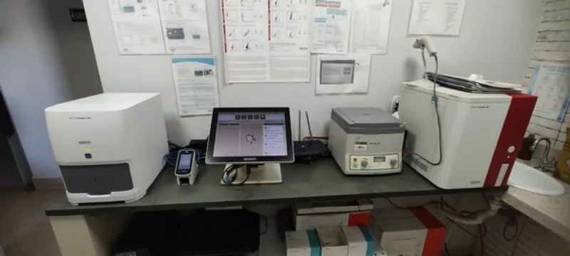 Veterinária fisioterapeuta em Goiânia