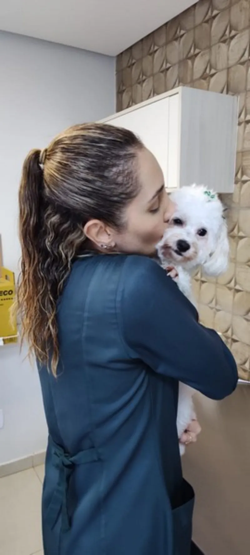 Veterinária fisioterapeuta em Trindade