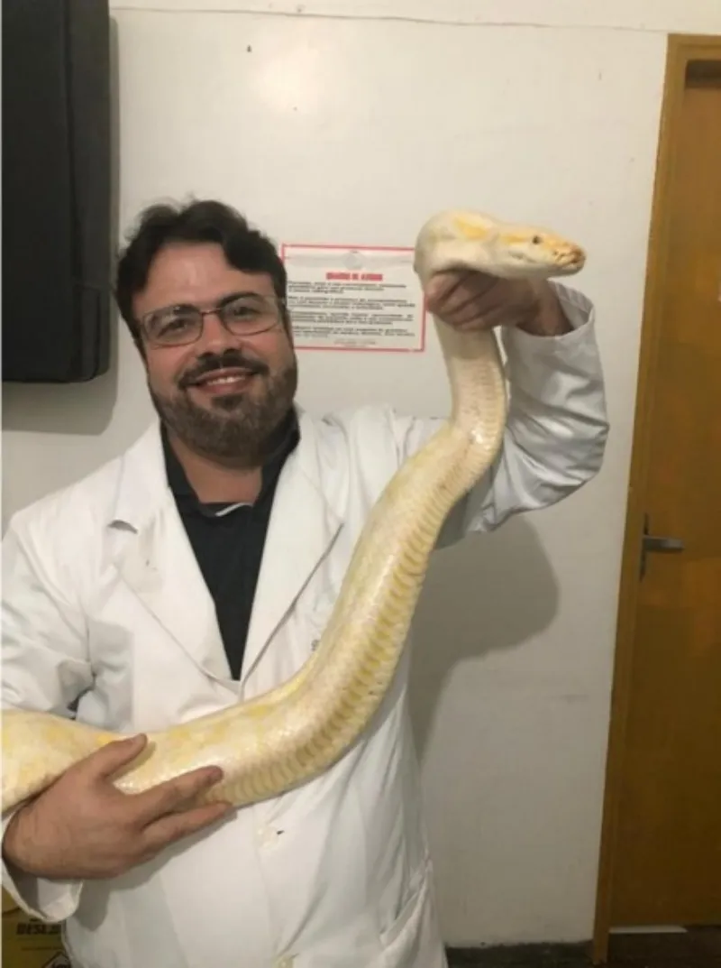 Veterinário de animais exóticos