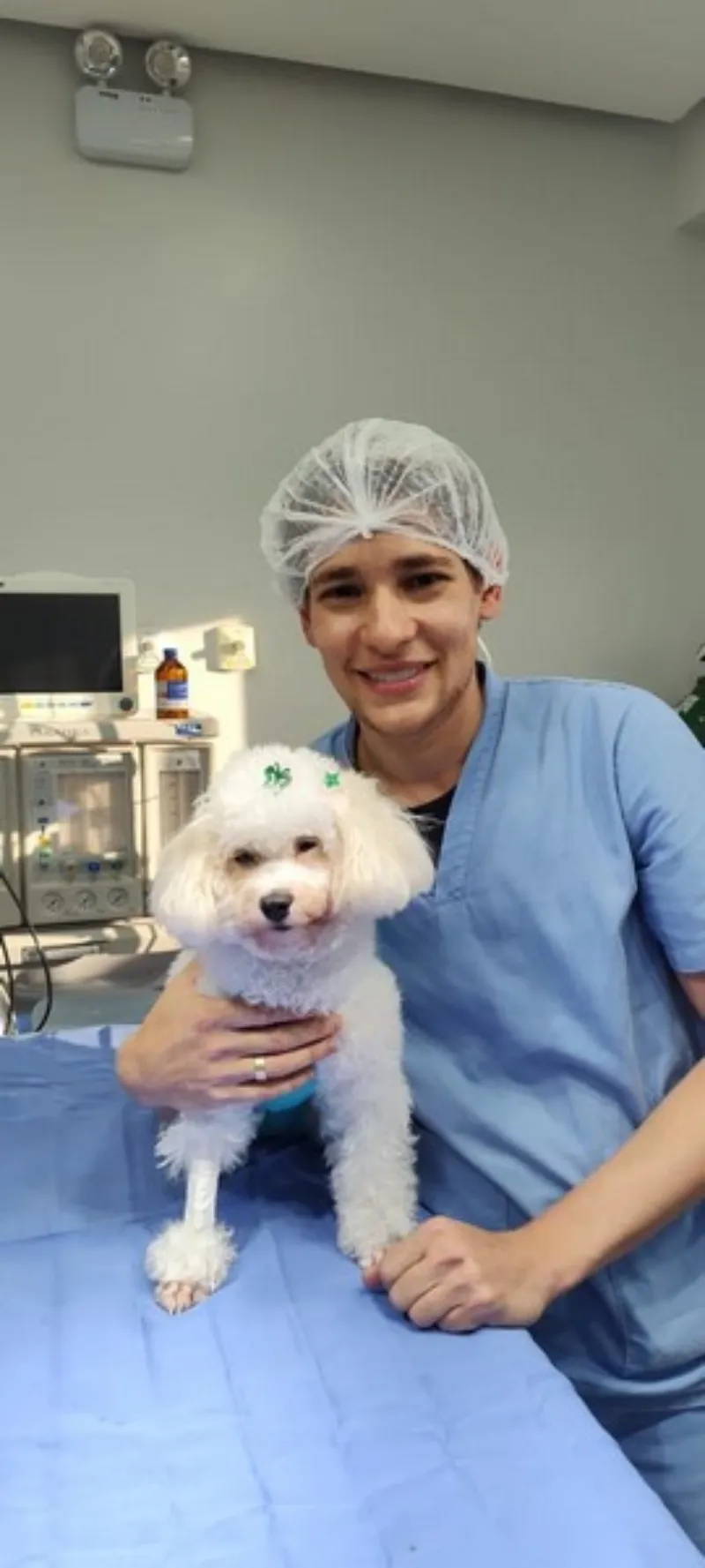 Veterinário para cães