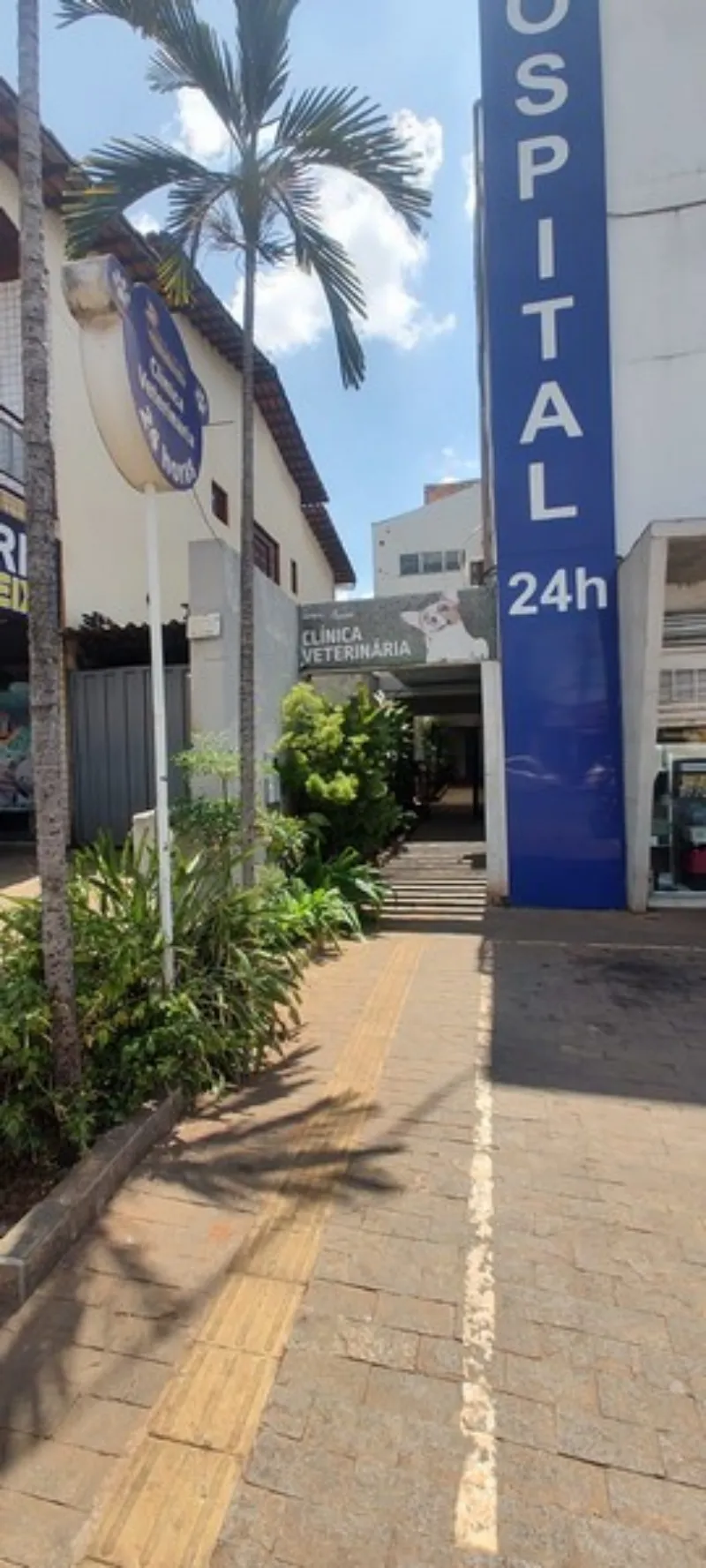 Veterinário especialista em otorrinolaringologia